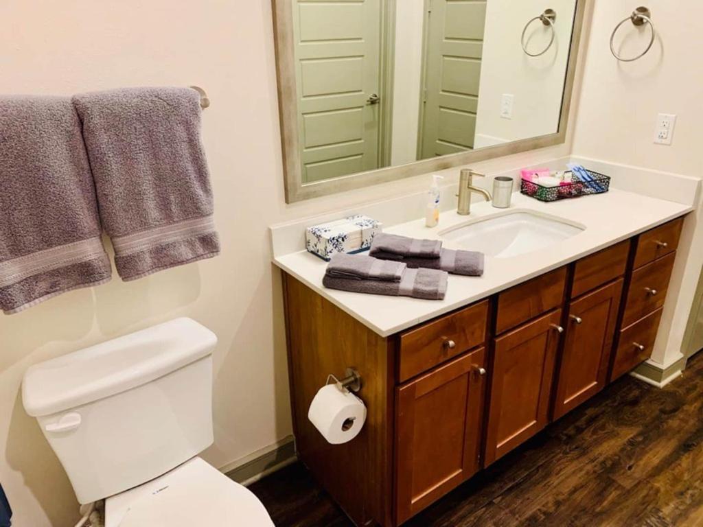 Downtown Apt Free Parking - Pool - Gym - Fully Kitchen Houston Eksteriør bilde
