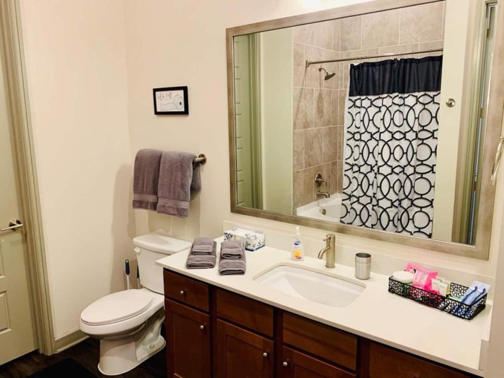 Downtown Apt Free Parking - Pool - Gym - Fully Kitchen Houston Eksteriør bilde